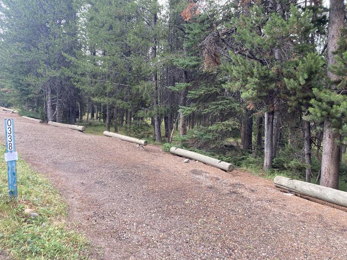 A photo of Site 338 of Loop O at Colter Bay Campground with Picnic Table, Fire Pit, Food Storage