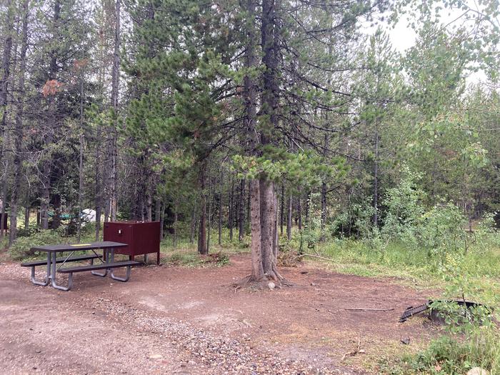 A photo of Site 262 of Loop M at Colter Bay Campground with Picnic Table, Fire Pit, Food Storage