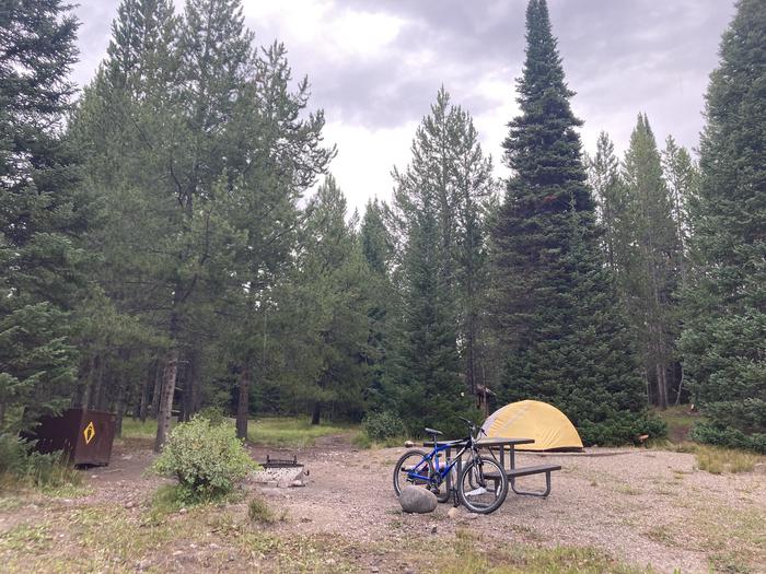 A photo of Site 290 of Loop N at Colter Bay Campground with Picnic Table, Fire Pit, Food Storage