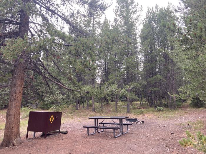 A photo of Site 256 of Loop L at Colter Bay Campground with Picnic Table, Fire Pit, Food Storage