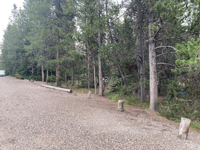 A photo of Site 255 of Loop L at Colter Bay Campground with Picnic Table, Fire Pit, Food Storage