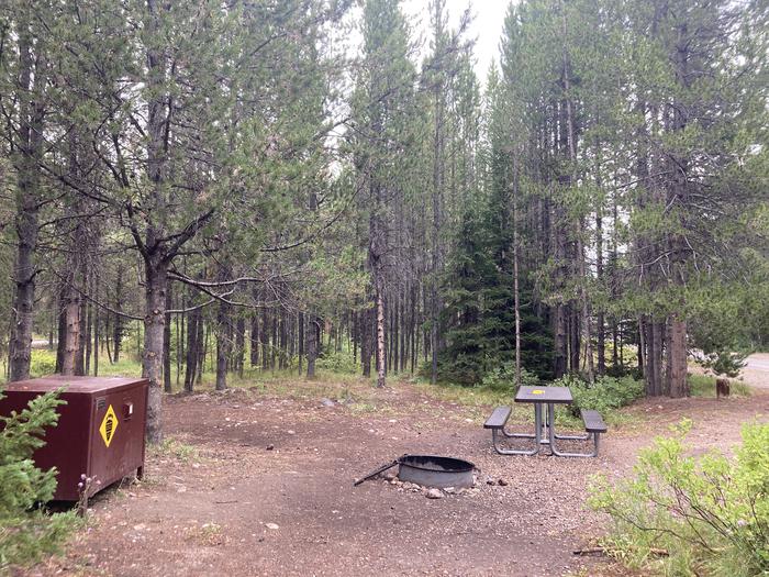 A photo of Site 277 of Loop M at Colter Bay Campground with Picnic Table, Fire Pit, Food Storage