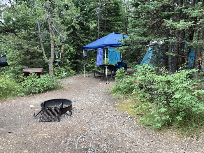 A photo of Site 133 of Loop F at Colter Bay Campground with Picnic Table, Fire Pit, Food Storage, Tent Pad