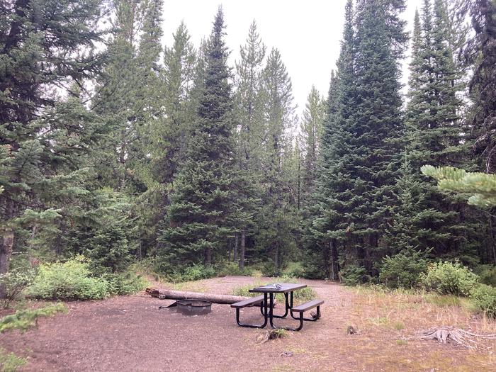 A photo of Site 311 of Loop N at Colter Bay Campground with Picnic Table, Fire Pit, Food Storage