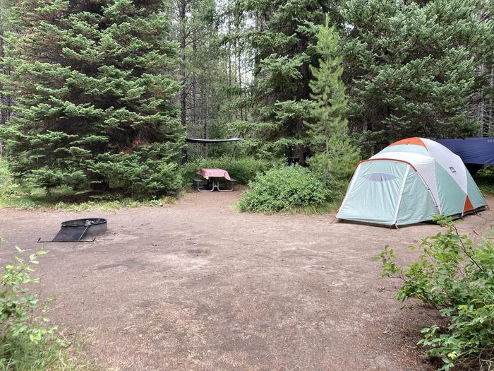A photo of Site 13 of Loop A at Colter Bay Campground with Picnic Table, Fire Pit, Food Storage