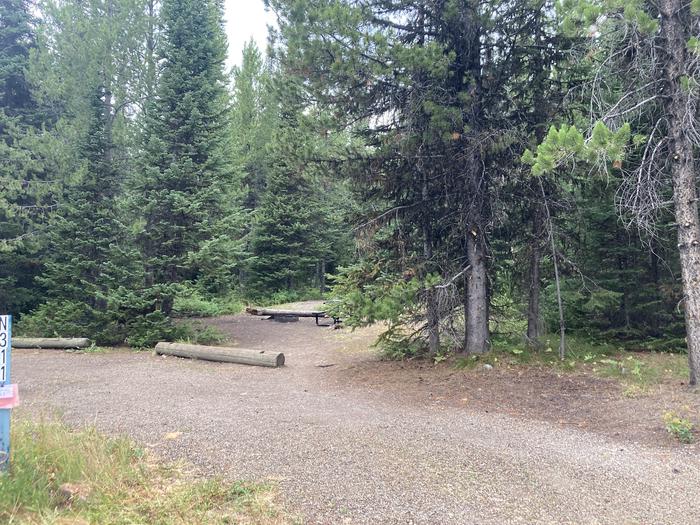 A photo of Site 311 of Loop N at Colter Bay Campground with Picnic Table, Fire Pit, Food Storage