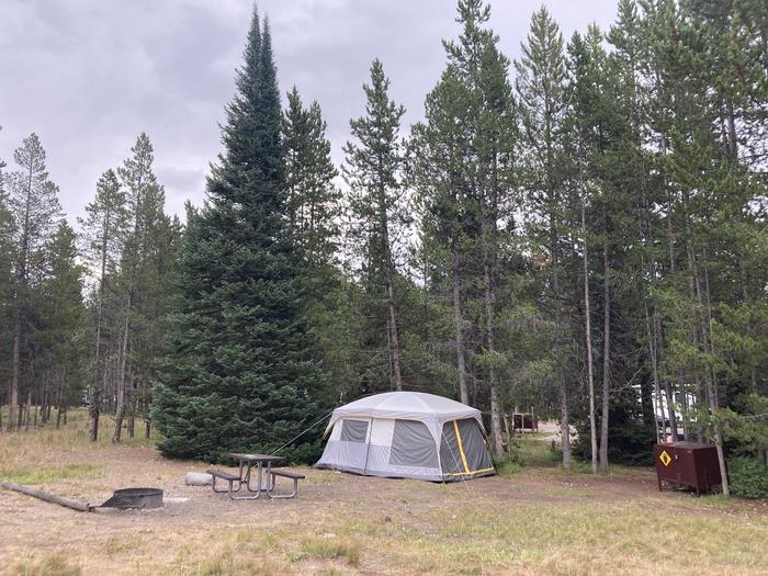 A photo of Site 236 of Loop L at Colter Bay Campground with Picnic Table, Fire Pit, Food Storage