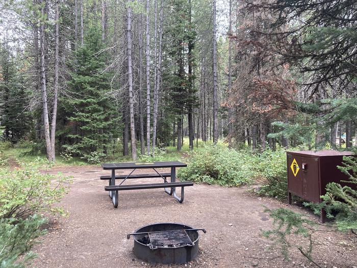 A photo of Site 233 of Loop L at Colter Bay Campground with Picnic Table, Fire Pit, Food Storage