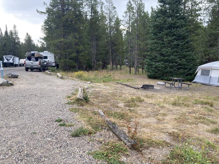 A photo of Site 236 of Loop L at Colter Bay Campground with Picnic Table, Fire Pit, Food Storage