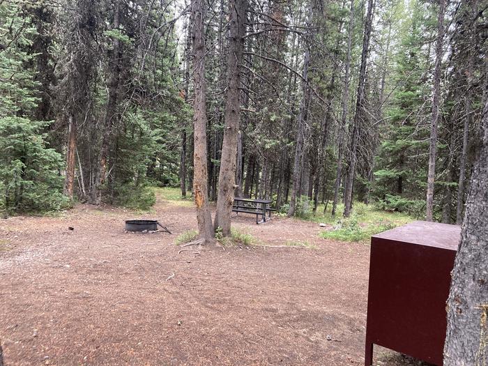 A photo of Site 313 of Loop O at Colter Bay Campground with Picnic Table, Fire Pit, Food Storage