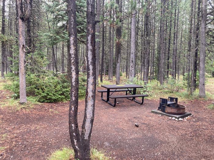 A photo of Site D of Loop HB at Colter Bay Campground with Picnic Table, Fire Pit, Food Storage