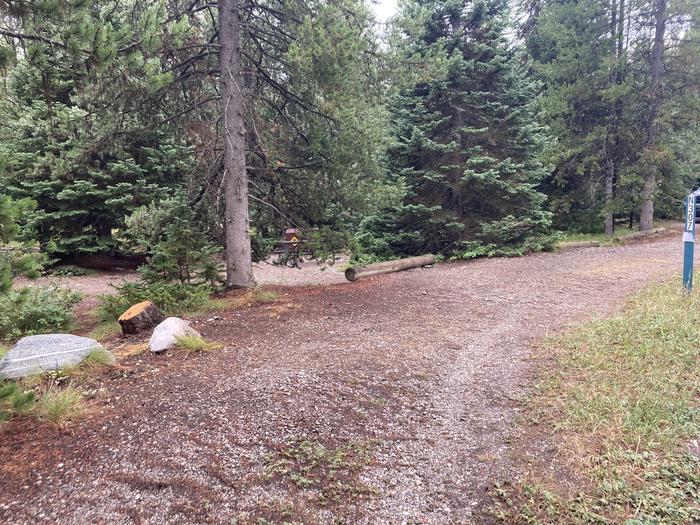 A photo of Site 307 of Loop N at Colter Bay Campground with Picnic Table, Fire Pit, Food Storage