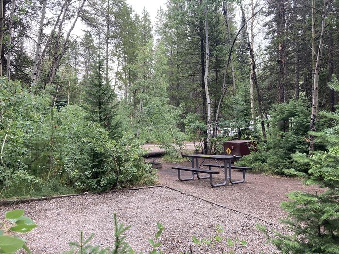 A photo of Site 66 of Loop C at Colter Bay Campground with Picnic Table, Fire Pit, Food Storage