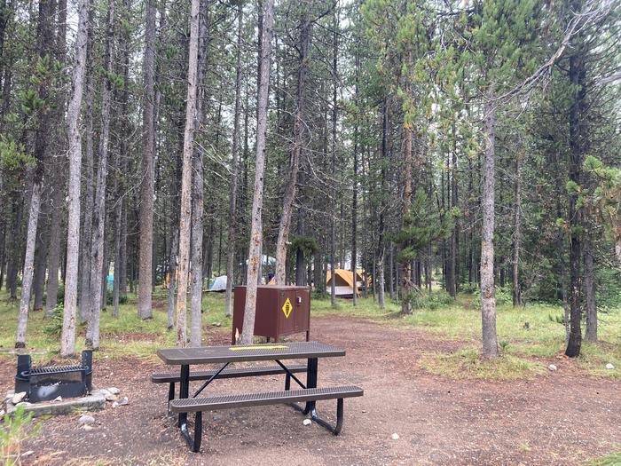 A photo of Site E of Loop HB at Colter Bay Campground with Picnic Table, Fire Pit, Food Storage