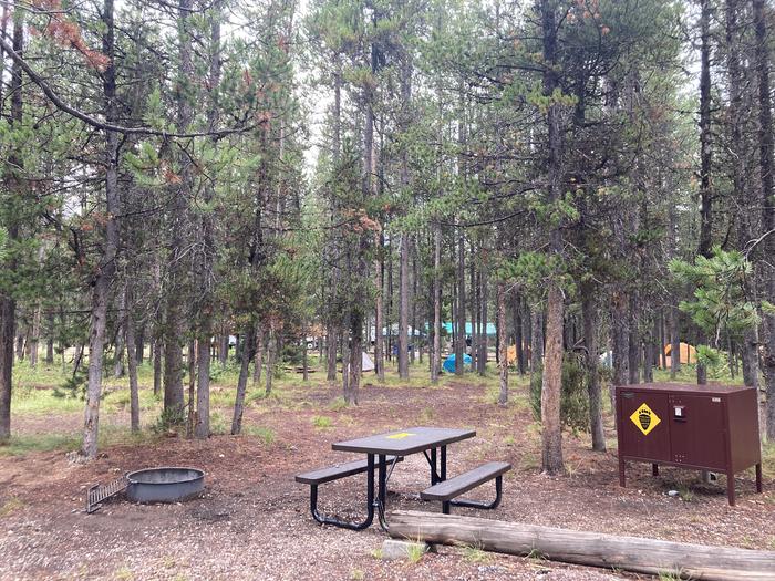 A photo of Site I of Loop HB at Colter Bay Campground with Picnic Table, Fire Pit, Food Storage