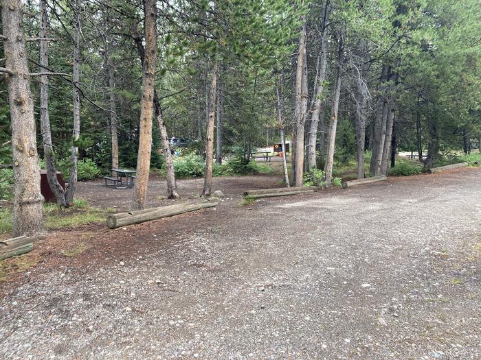 A photo of Site 91 of Loop D at Colter Bay Campground with Picnic Table, Fire Pit, Food Storage