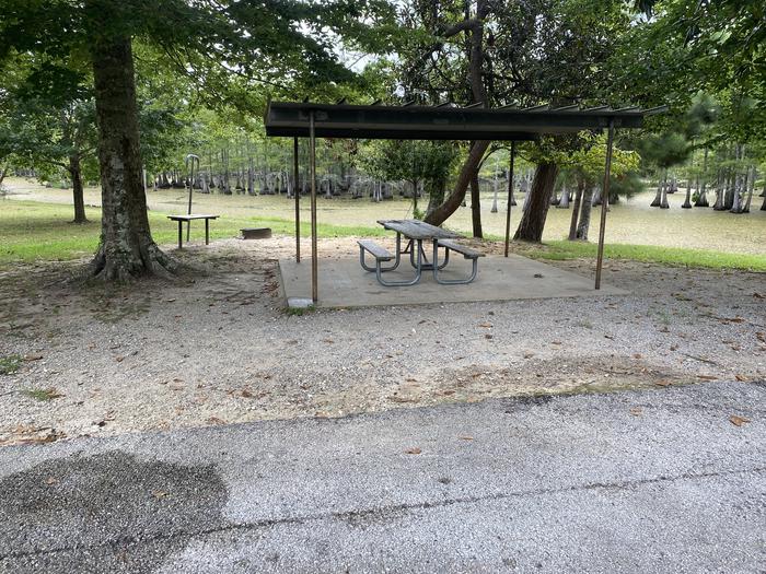 A photo of Site 27 of Loop MAGNOLIA RIDGE  at MAGNOLIA RIDGE with Picnic Table, Fire Pit, Shade, Waterfront, Lantern Pole