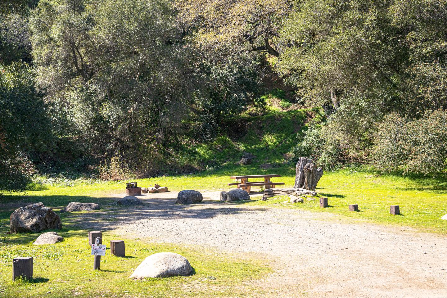 A photo of Site 009 of Loop AREA PARADISE at PARADISE CAMPGROUND with Picnic Table