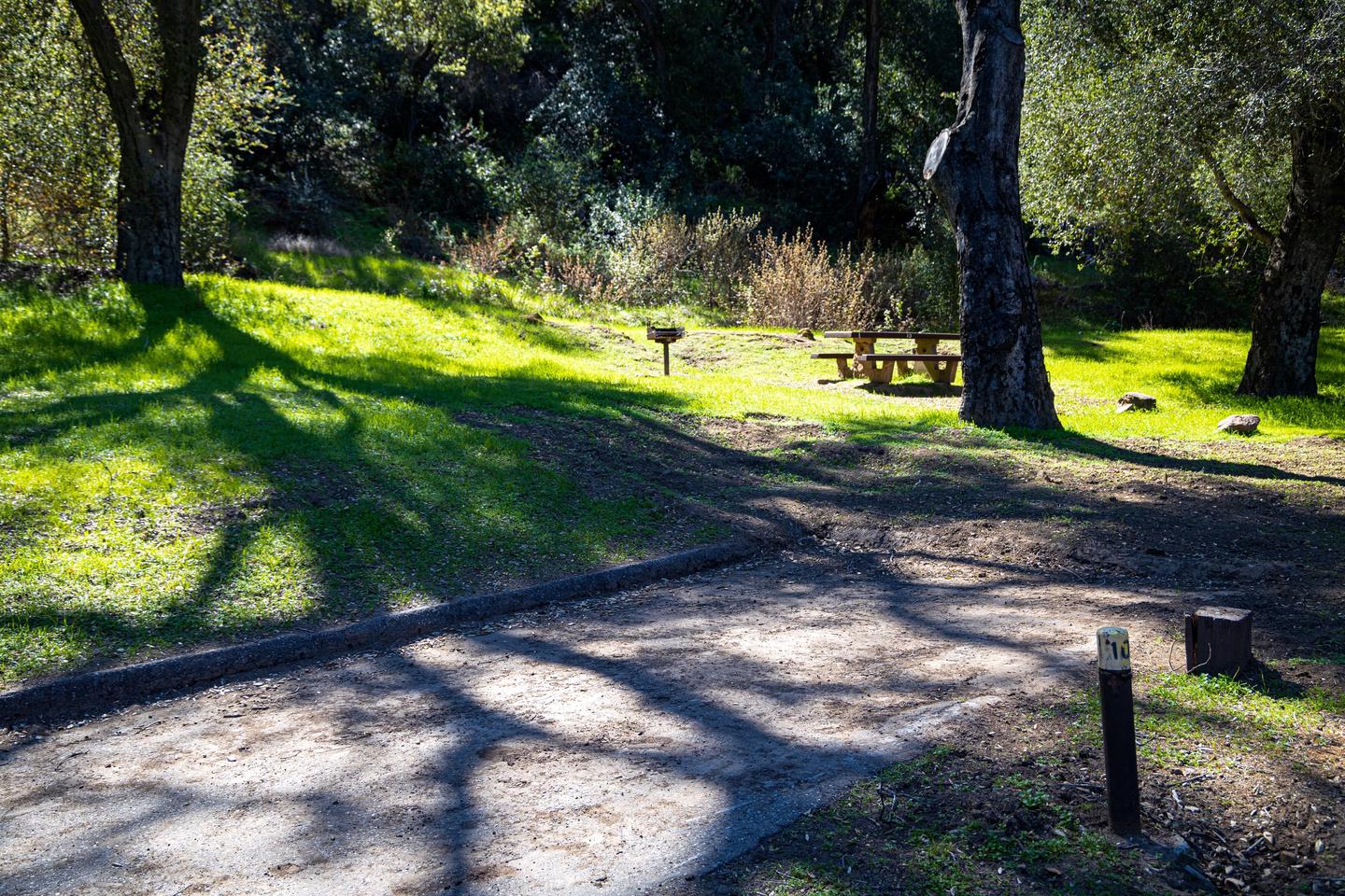 A photo of Site 010 of Loop AREA FREMONT CAMPGROUND at FREMONT CAMPGROUND with Picnic Table