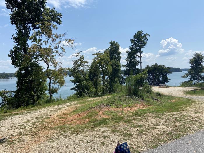 A photo of Site 74 of Loop SPRINGFIELD  at SPRINGFIELD with Picnic Table, Electricity Hookup, Fire Pit, Shade, Tent Pad, Waterfront, Lantern Pole, Water Hookup