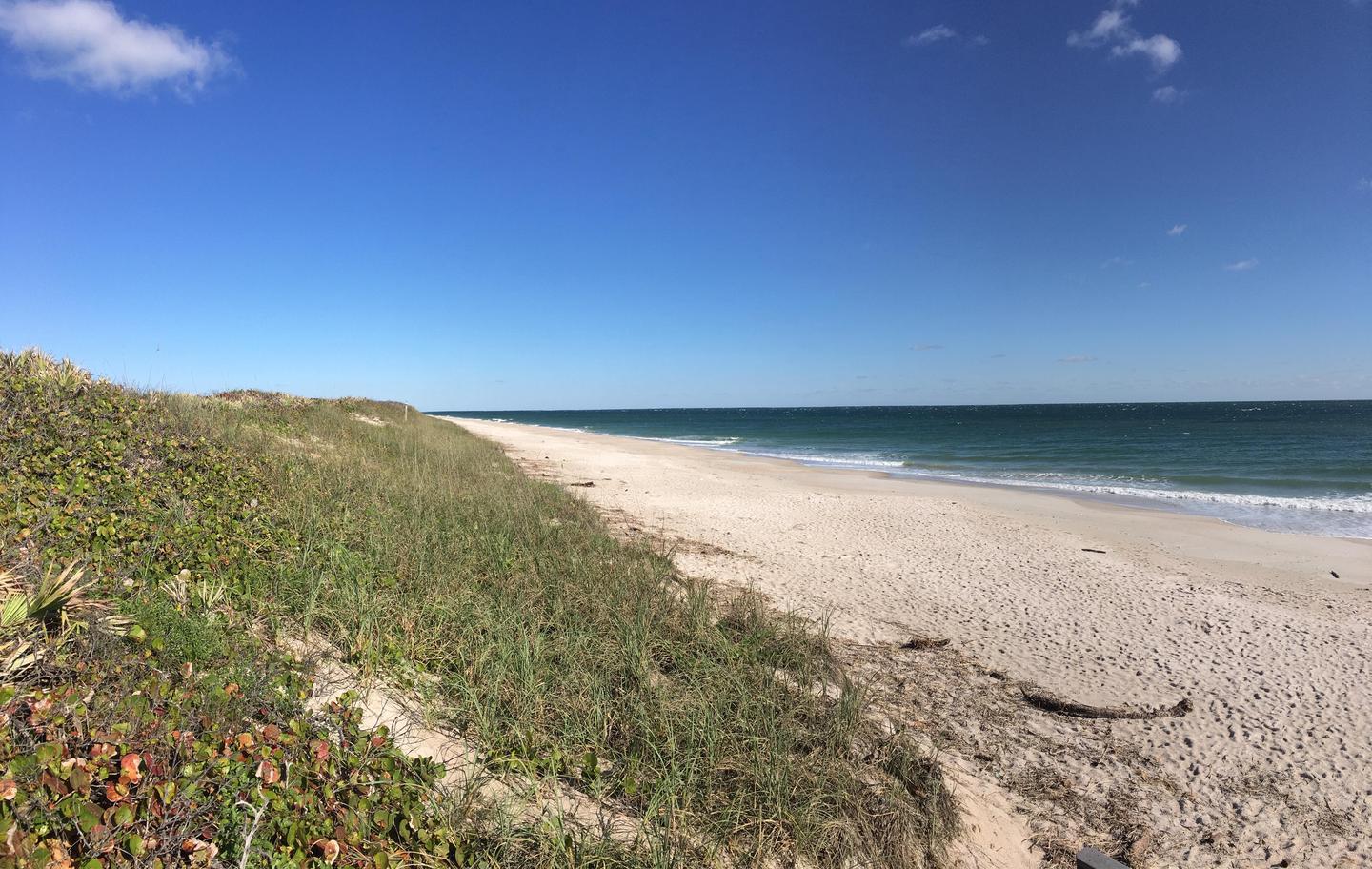 Playalinda BeachEach year millions of visitors discover the pristine beauty of Canaveral National Seashore.