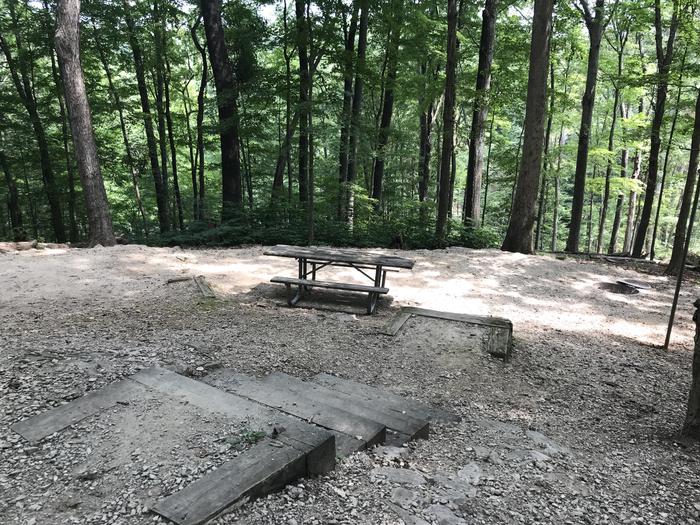 A photo of Site 047 of Loop SPNT at HARDIN RIDGE with Picnic Table, Fire Pit, Tent Pad, Lantern Pole