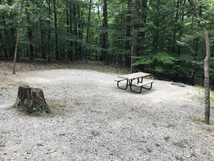 Just a step down to the tent pad picnic area firing and lantern pole our friendly little tree stump is there in the picture watch that as you’re backing in