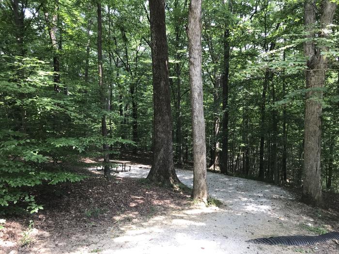 A photo of Site 138 of Loop WOAK at HARDIN RIDGE with Picnic Table, Electricity Hookup, Fire Pit, Shade, Tent Pad, Lantern PoleA pretty secluded tent pad firing and picnic table area on a slight slope down from your parking area