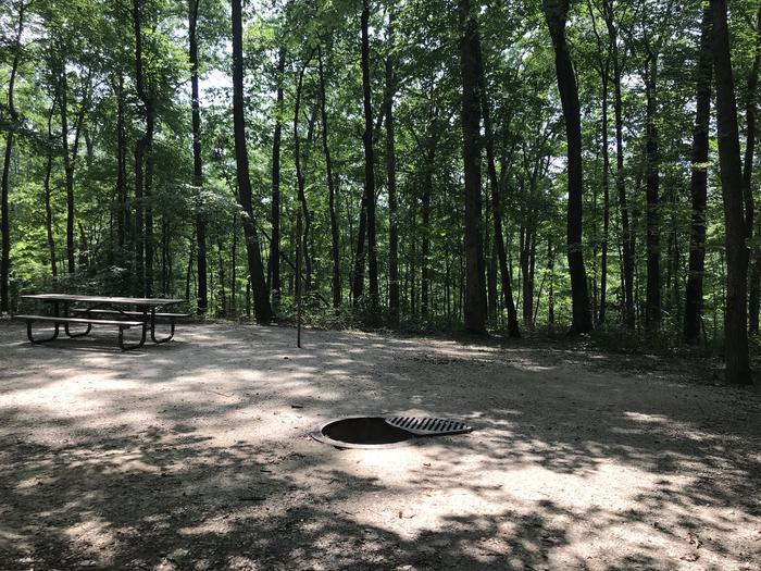 A photo of Site 119 of Loop BLGL at HARDIN RIDGE with Picnic Table, Electricity Hookup, Fire Pit, Shade, Tent Pad, Lantern Pole