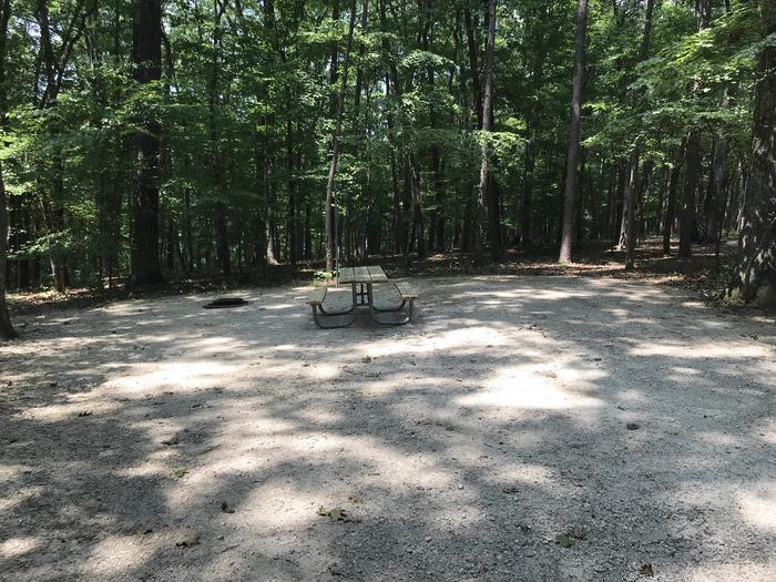 A photo of Site 186 of Loop PINE at HARDIN RIDGE with Picnic Table, Electricity Hookup, Fire Pit, Shade, Tent Pad, Lantern Pole, Water Hookup