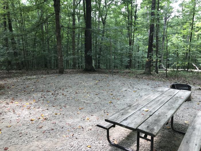 A photo of Site 146 of Loop WOAK at HARDIN RIDGE with Picnic Table, Electricity Hookup, Fire Pit, Shade, Tent Pad, Lantern Pole