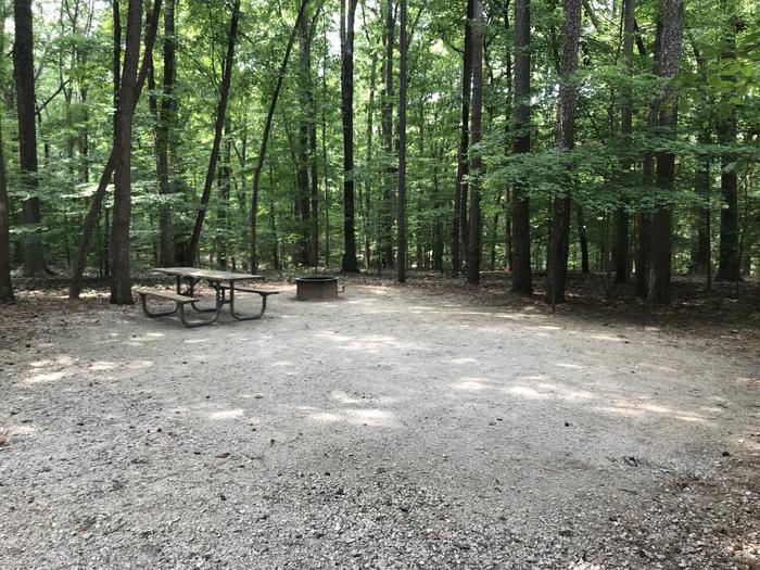 A photo of Site 189 of Loop PINE at HARDIN RIDGE with Picnic Table, Electricity Hookup, Fire Pit, Shade, Tent Pad, Lantern Pole