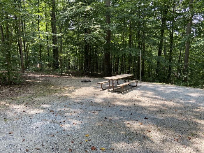 A photo of Site 145 of Loop WOAK at HARDIN RIDGE with Picnic Table, Electricity Hookup, Fire Pit, Shade, Tent Pad, Lantern Pole