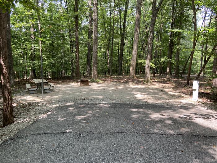 A photo of Site 190 of Loop PINE at HARDIN RIDGE with Picnic Table, Electricity Hookup, Fire Pit, Shade, Tent Pad, Lantern Pole