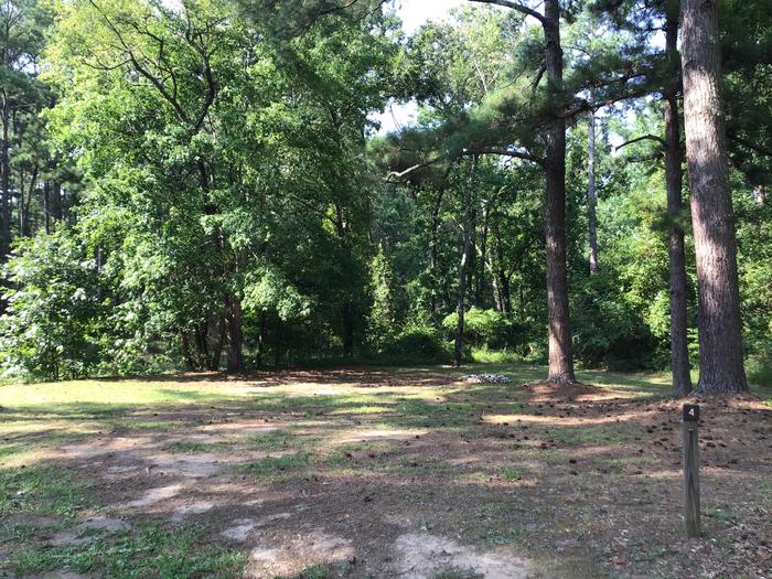 A photo of Site Site 04 of Loop Year round at Sedalia Campground (SC) with Fire Pit, Shade