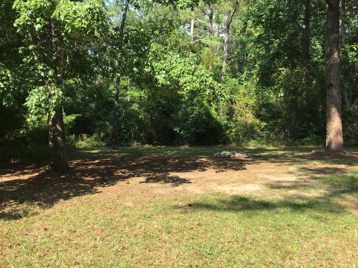 A photo of Site Site 04 of Loop Year round at Sedalia Campground (SC) with Fire Pit, Shade