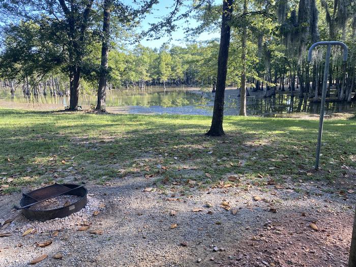 A photo of Site 23 of Loop MAGNOLIA RIDGE  at MAGNOLIA RIDGE with Fire Pit, Waterfront, Lantern Pole