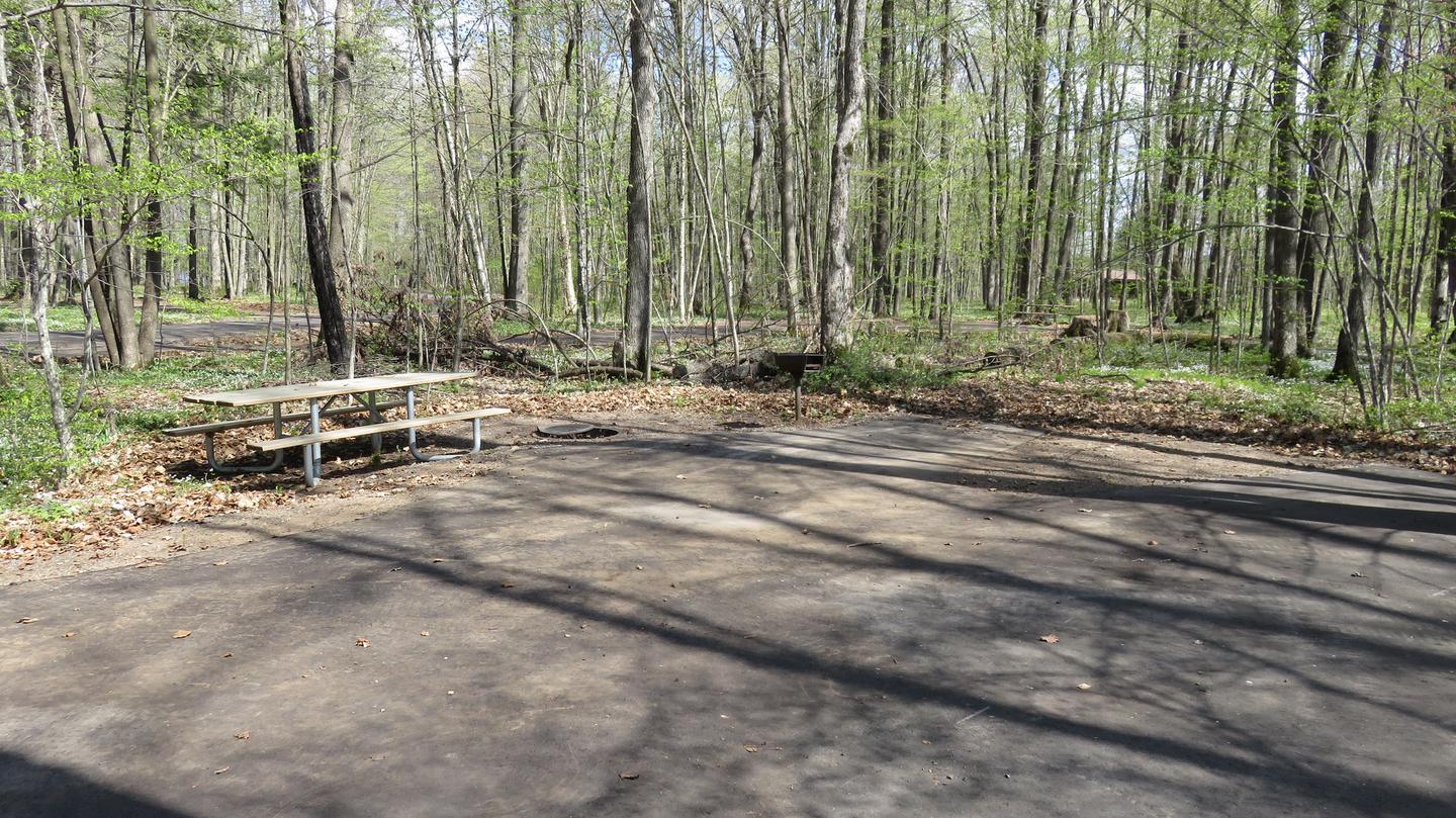 Picnic table and fire ring on the other side of Site P14