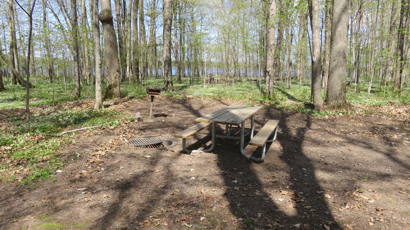 Picnic table, fire ring, and grill for Site P15