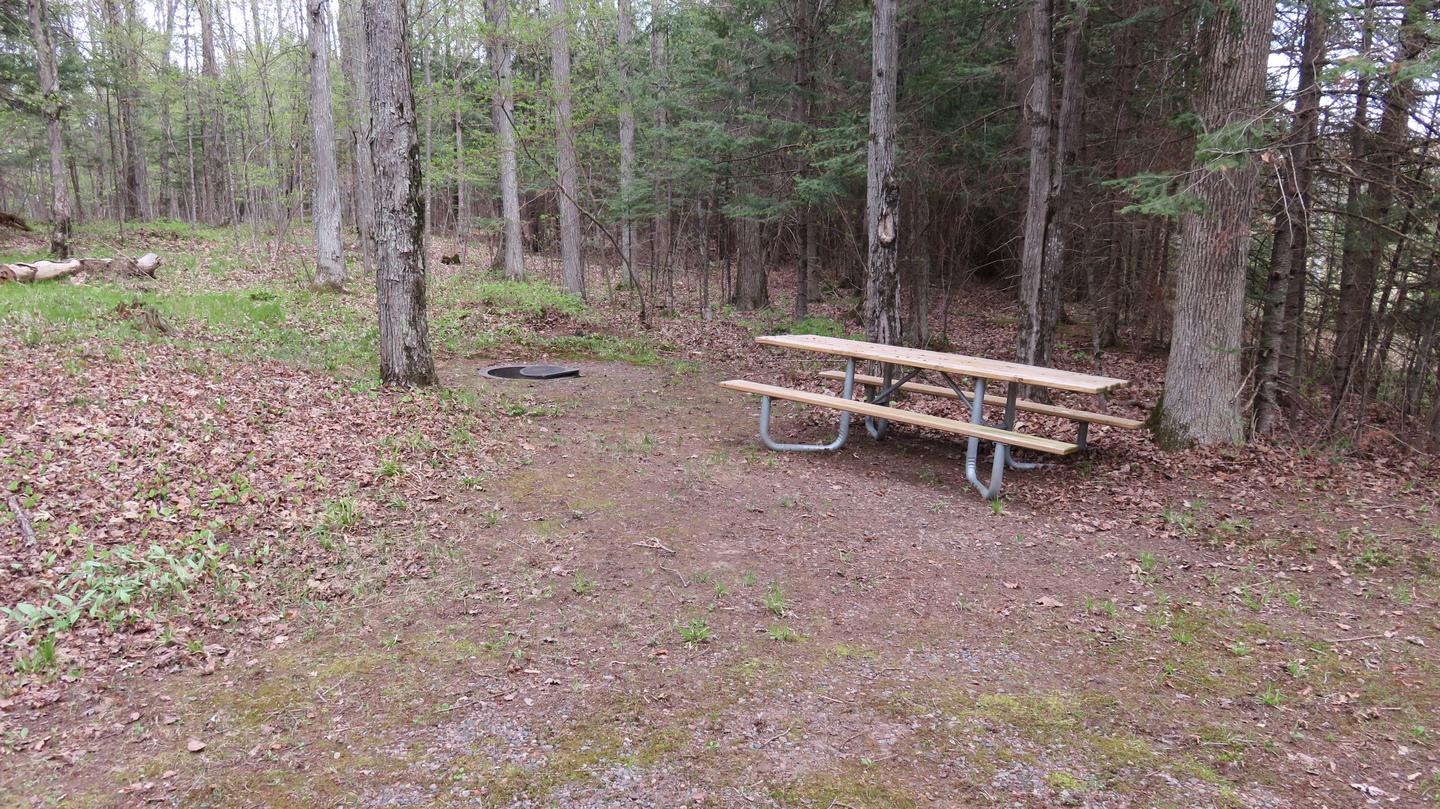 Picnic table and fire ring for Site S02