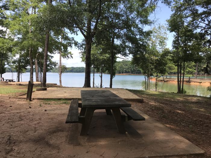 A photo of Site 086 of Loop LOOH at Holiday (Georgia) with Picnic Table, Fire Pit, Shade, Tent Pad, Waterfront, Lantern Pole
