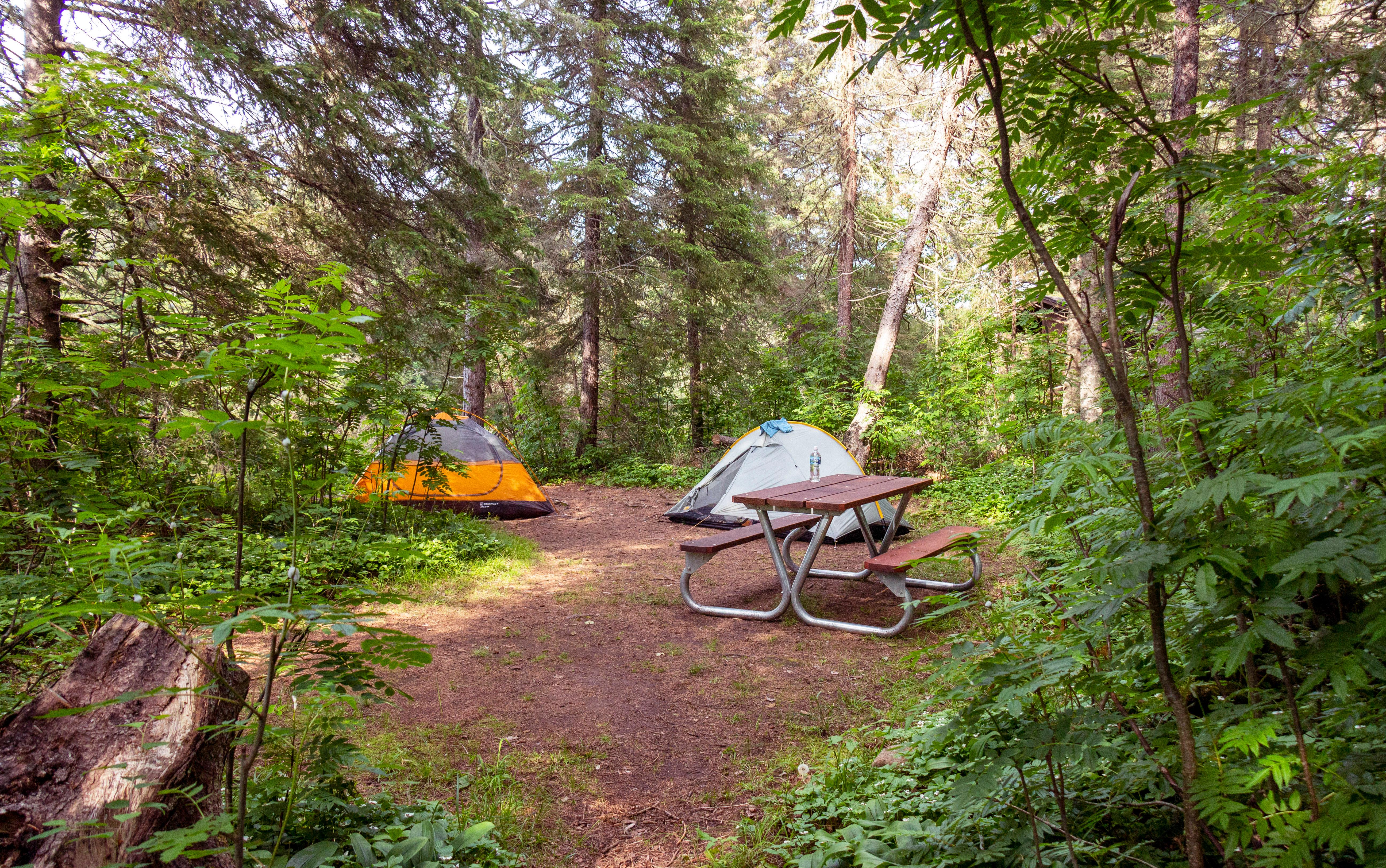 Washington Creek Campground