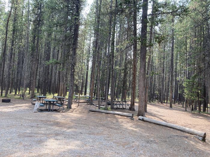 A photo of Site 12 of Loop Group at Colter Bay Campground with Picnic Table, Fire Pit, Food Storage