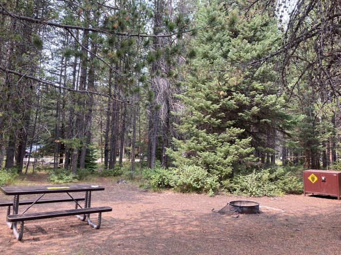 A photo of Site 229 of Loop K at Colter Bay Campground with Picnic Table, Fire Pit, Food Storage