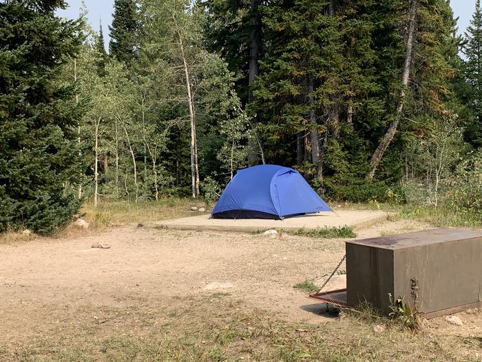 A photo of Site 45 of Loop Jenny Lake at Jenny Lake Campground with Picnic Table, Fire Pit, Food Storage, Tent Pad
