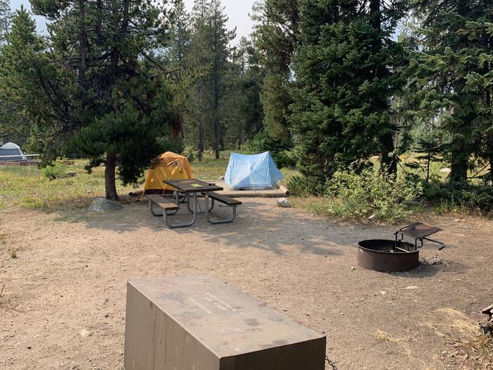 A photo of Site 8 of Loop Jenny Lake at Jenny Lake Campground with Picnic Table, Fire Pit, Food Storage, Tent Pad