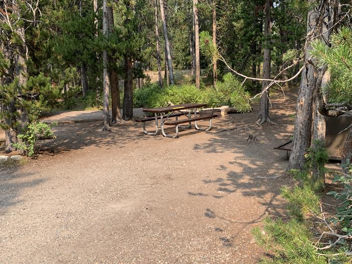 A photo of Site 19 of Loop Jenny Lake at Jenny Lake Campground with Picnic Table, Fire Pit, Food Storage, Tent Pad