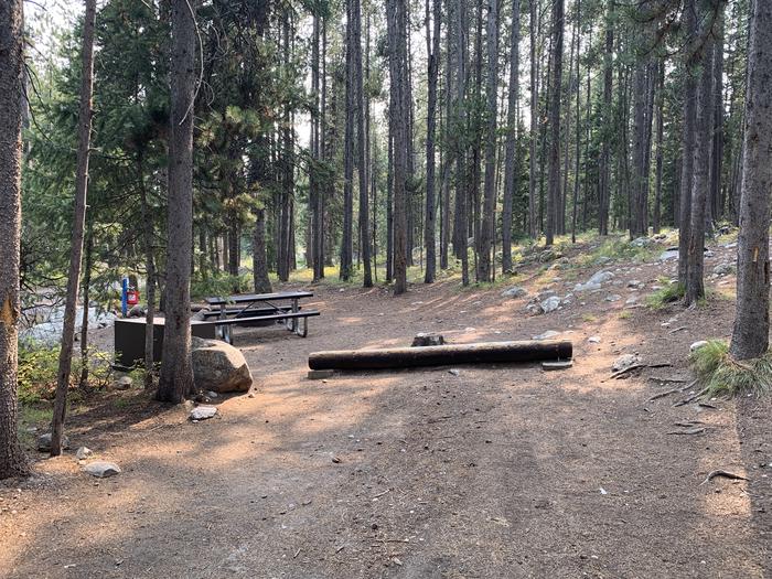 A photo of Site 26 of Loop Jenny Lake at Jenny Lake Campground with Picnic Table, Fire Pit, Food Storage, Tent Pad