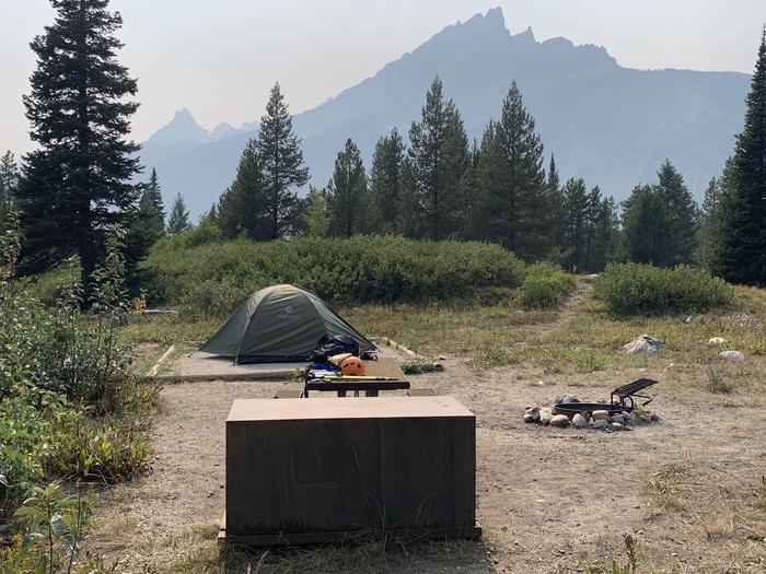 A photo of Site 46 of Loop Jenny Lake at Jenny Lake Campground with Picnic Table, Fire Pit, Food Storage, Tent Pad
