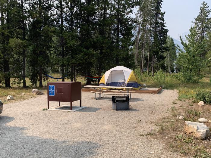 A photo of Site 5 of Loop Jenny Lake at Jenny Lake Campground with Picnic Table, Fire Pit, Food Storage, Tent Pad